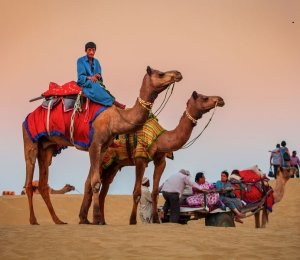 Jaisalmer Tour